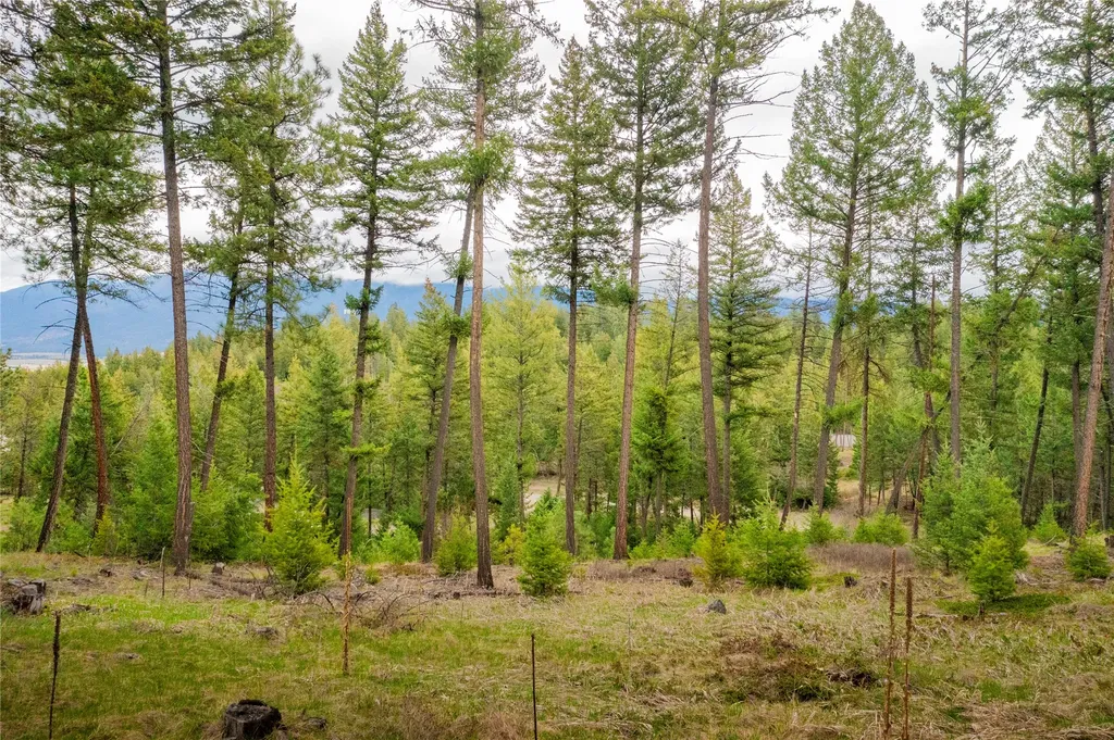 Lot 7 Tobacco Valley View Road Eureka MT 59917