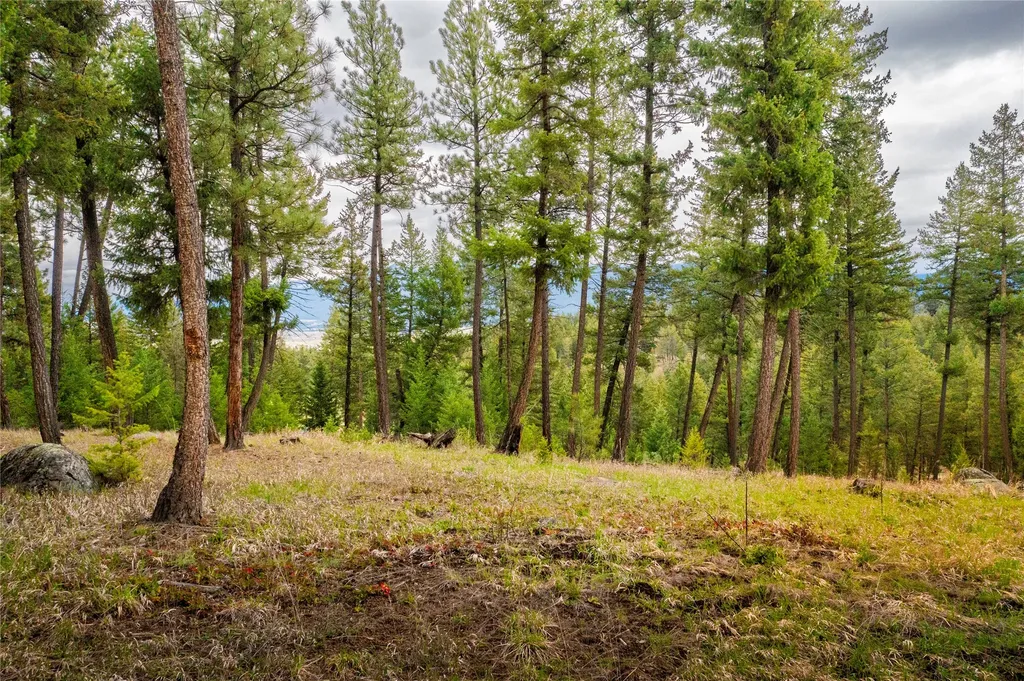 Lot 7 Tobacco Valley View Road Eureka MT 59917
