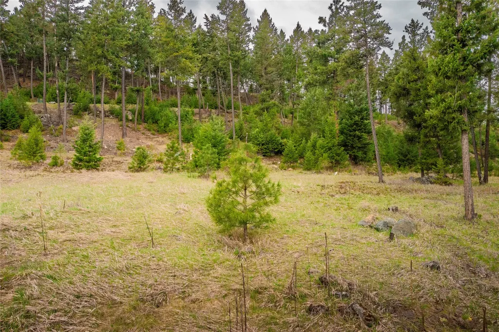 Lot 7 Tobacco Valley View Road Eureka MT 59917