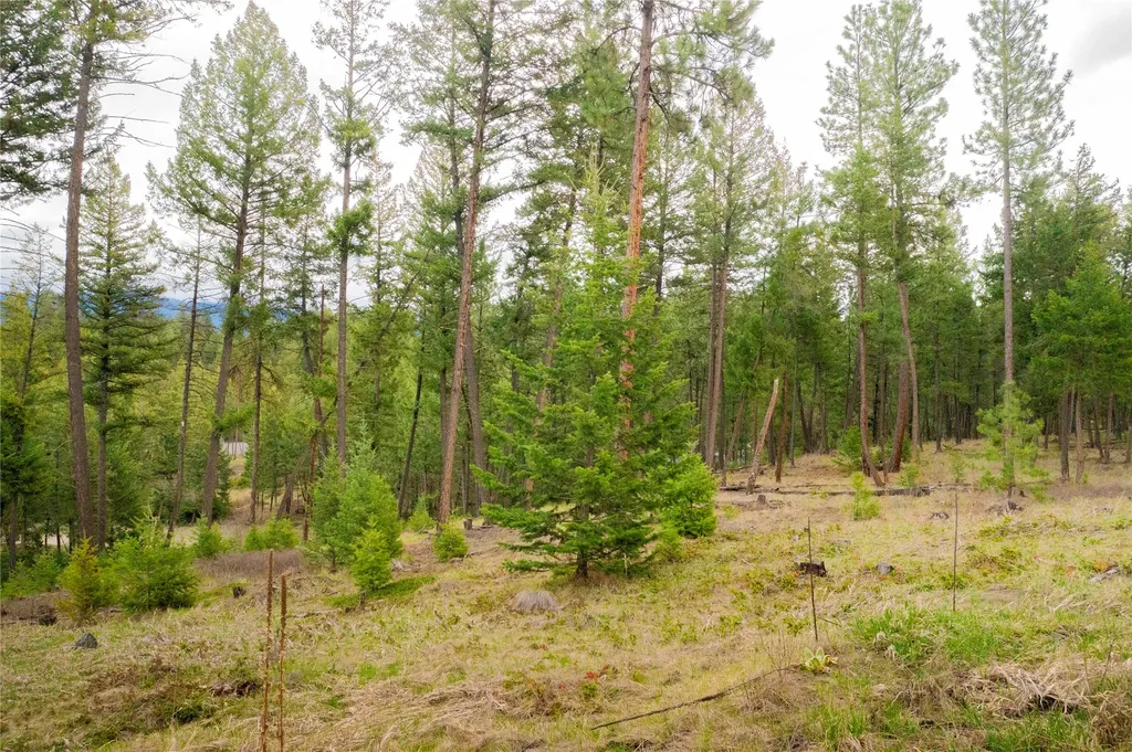 Lot 7 Tobacco Valley View Road Eureka MT 59917