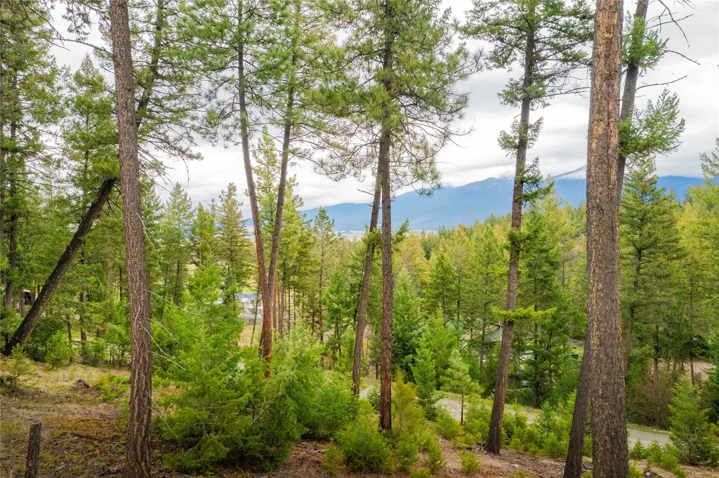 Lot 7 Tobacco Valley View Road Eureka MT 59917