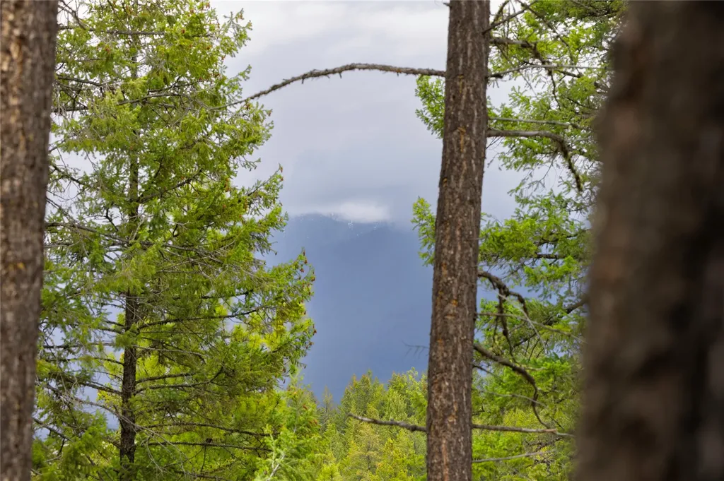 Lot 7 Tobacco Valley View Road Eureka MT 59917