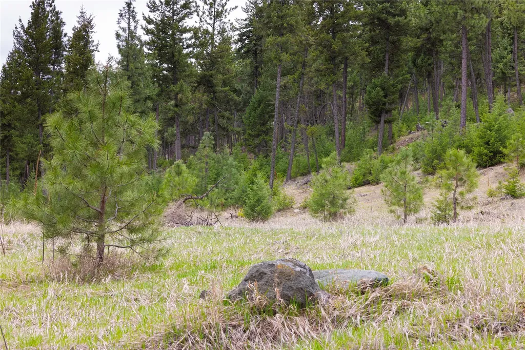 Lot 7 Tobacco Valley View Road Eureka MT 59917