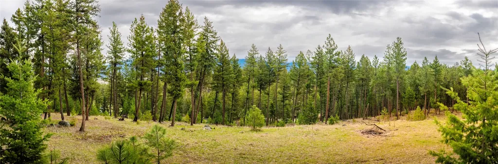 Lot 7 Tobacco Valley View Road Eureka MT 59917