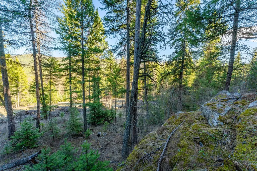 1720 Browns Meadow Road Kila MT 59920