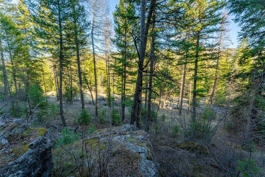 1720 Browns Meadow Road Kila MT 59920