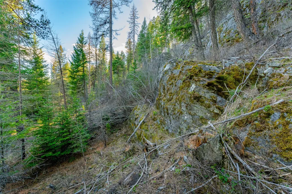 1720 Browns Meadow Road Kila MT 59920