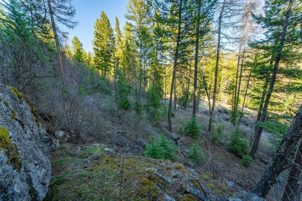 1720 Browns Meadow Road Kila MT 59920