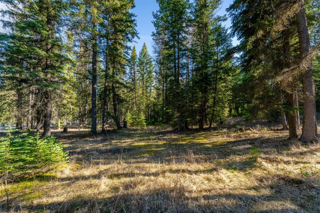 1720 Browns Meadow Road Kila MT 59920