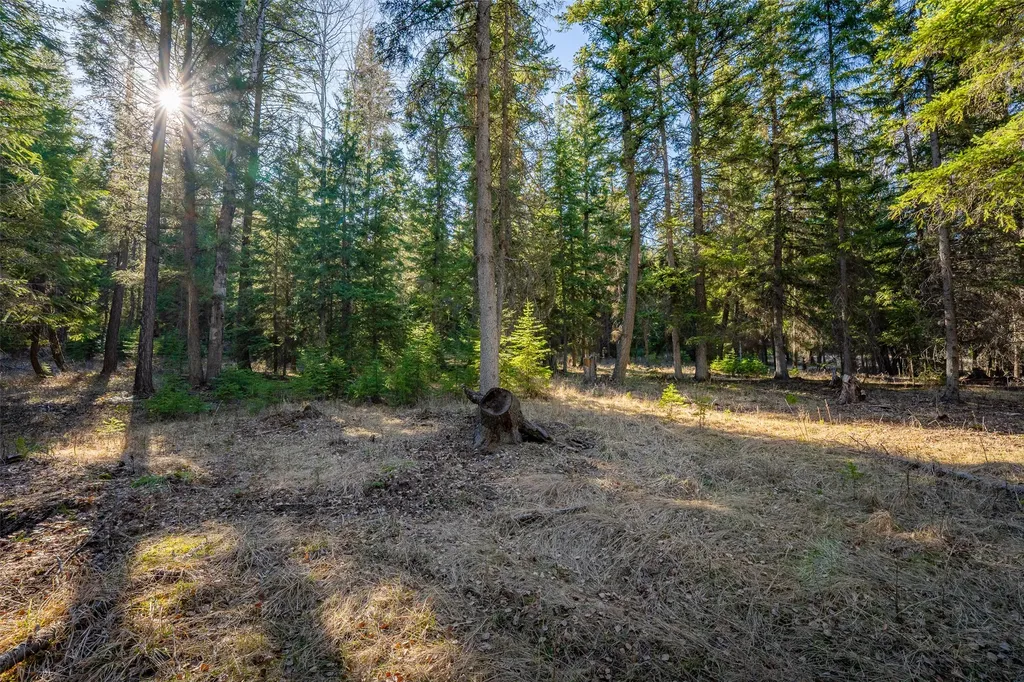 1720 Browns Meadow Road Kila MT 59920