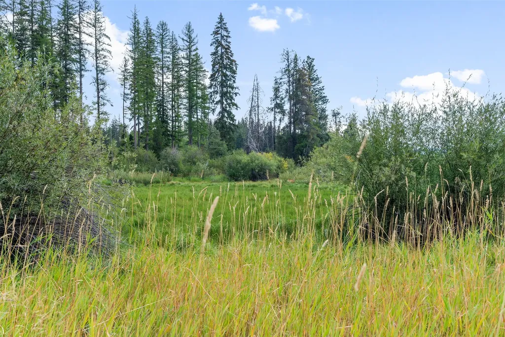 3481 Mt-83 Seeley Lake MT 59868