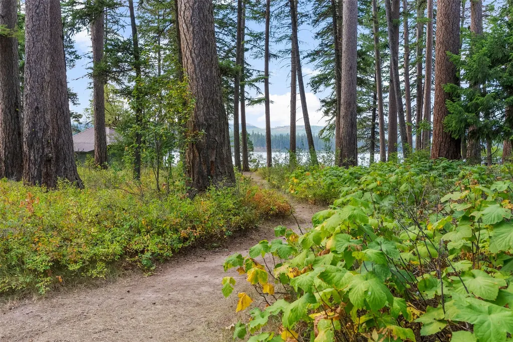 3481 Mt-83 Seeley Lake MT 59868