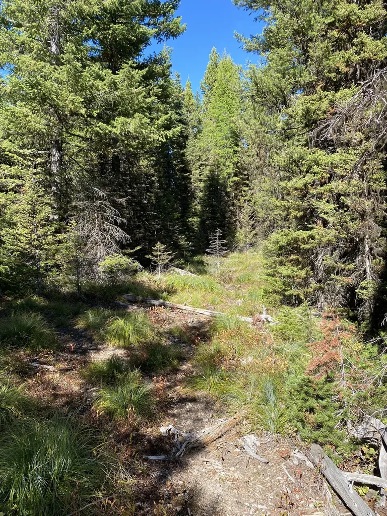 Nhn Mill Creek Road Frenchtown MT 59834