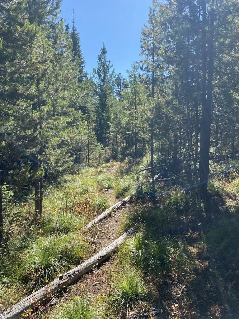 Nhn Mill Creek Road Frenchtown MT 59834