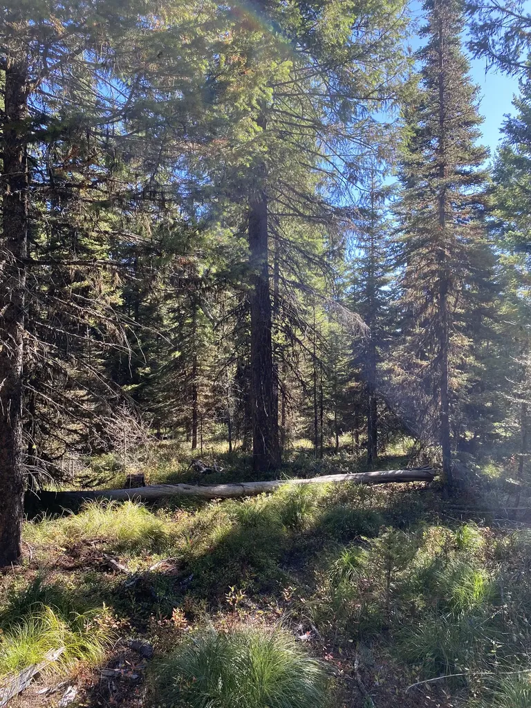 Nhn Mill Creek Road Frenchtown MT 59834