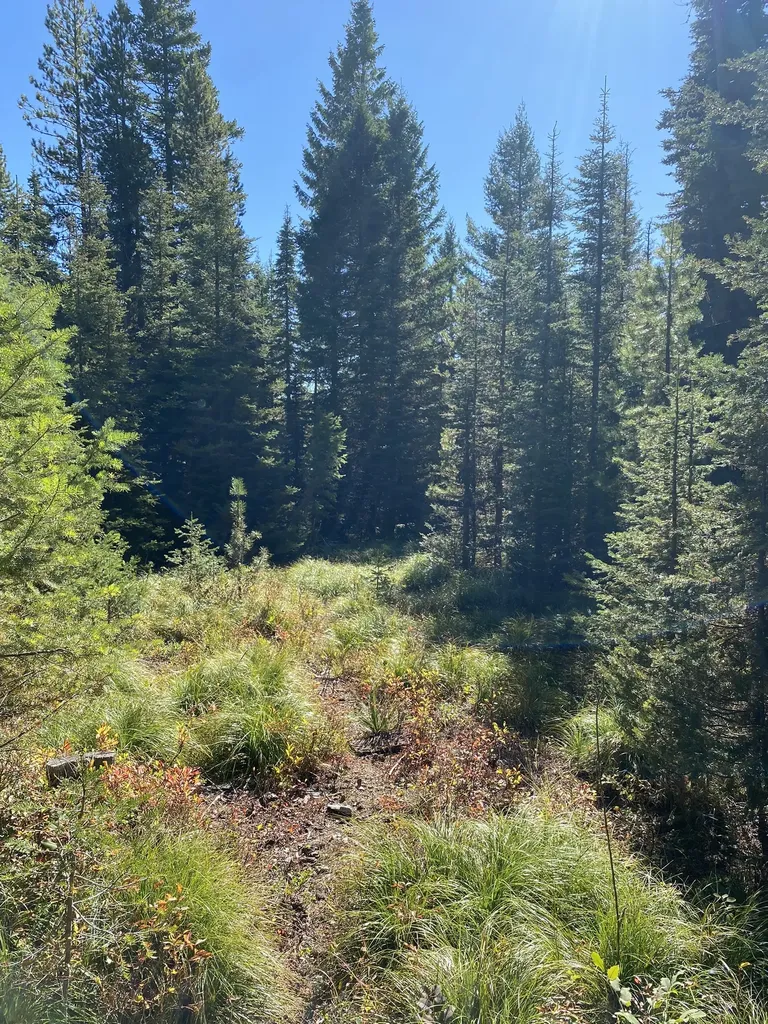 Nhn Mill Creek Road Frenchtown MT 59834