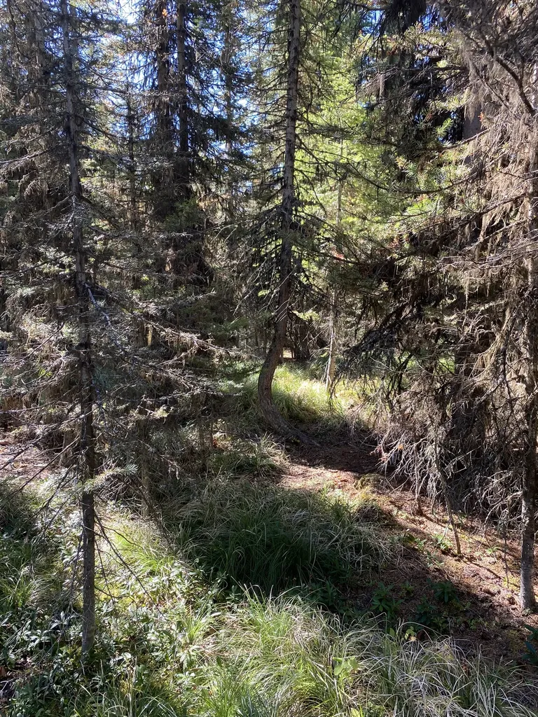 Nhn Mill Creek Road Frenchtown MT 59834