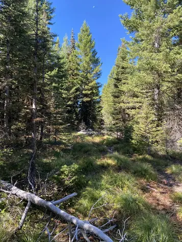 NHN Mill Creek Road Frenchtown MT 59834