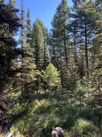 NHN Mill Creek Road Frenchtown MT 59834