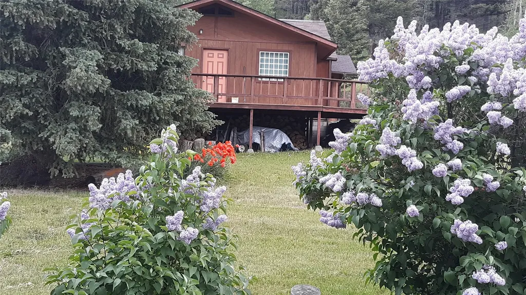 313 Dougherty Street Elliston MT 59728