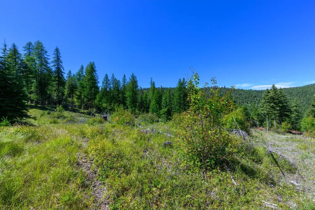 548 Spruce Hollow Trail Kalispell MT 59901
