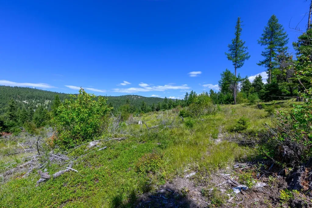 548 Spruce Hollow Trail Kalispell MT 59901