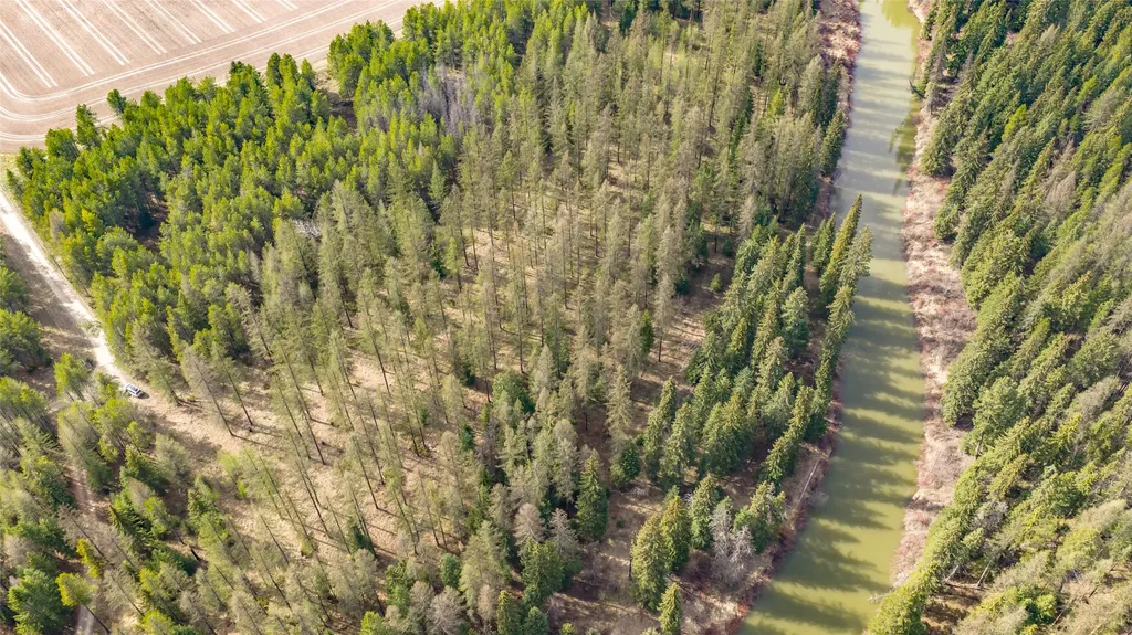 Nhn Camp Trail Whitefish MT 59937