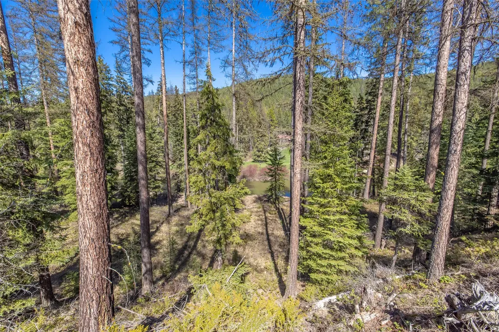 Nhn Camp Trail Whitefish MT 59937