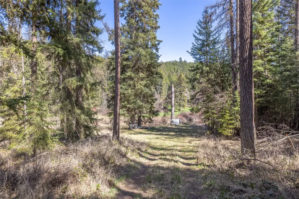 Nhn Camp Trail Whitefish MT 59937