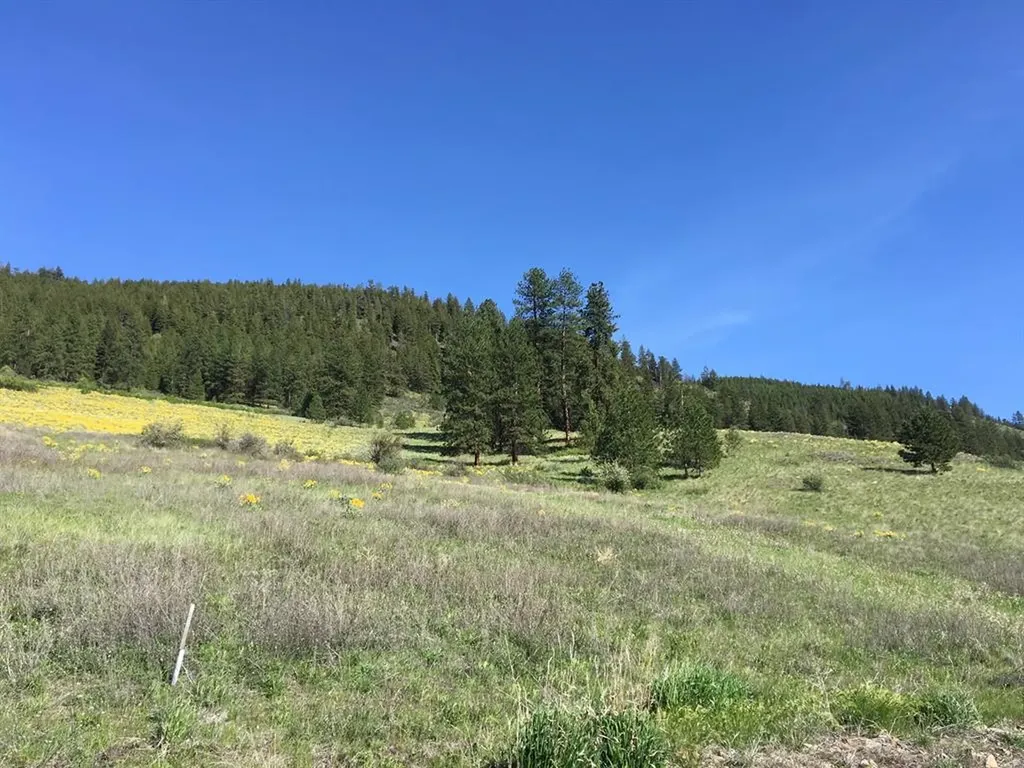 Lot 5 Diamond S Ranch Plains MT 59859