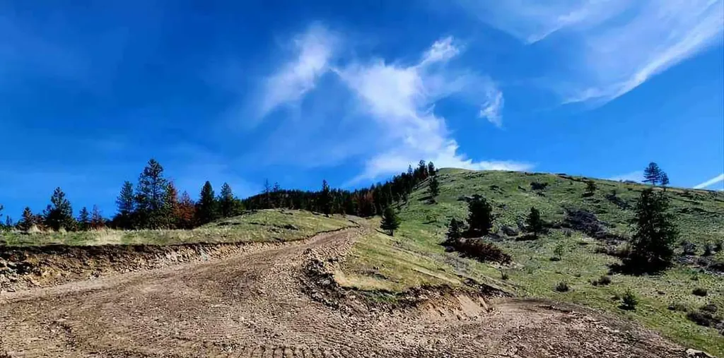 Lot 5 Diamond S Ranch Plains MT 59859