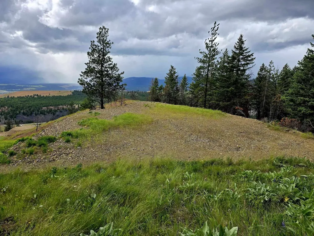 Lot 5 Diamond S Ranch Plains MT 59859