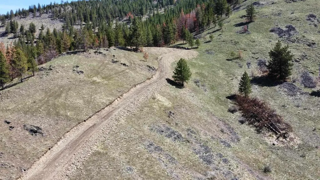 Lot 5 Diamond S Ranch Plains MT 59859