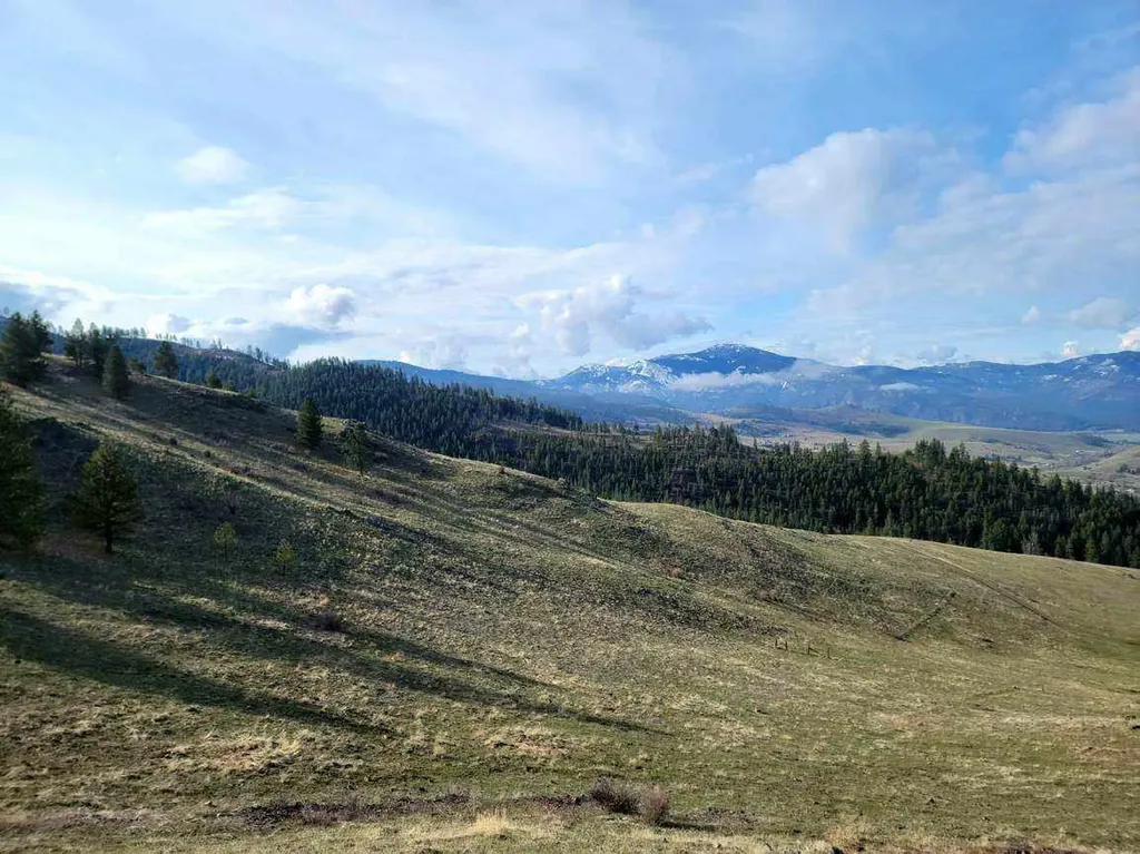 Lot 5 Diamond S Ranch Plains MT 59859