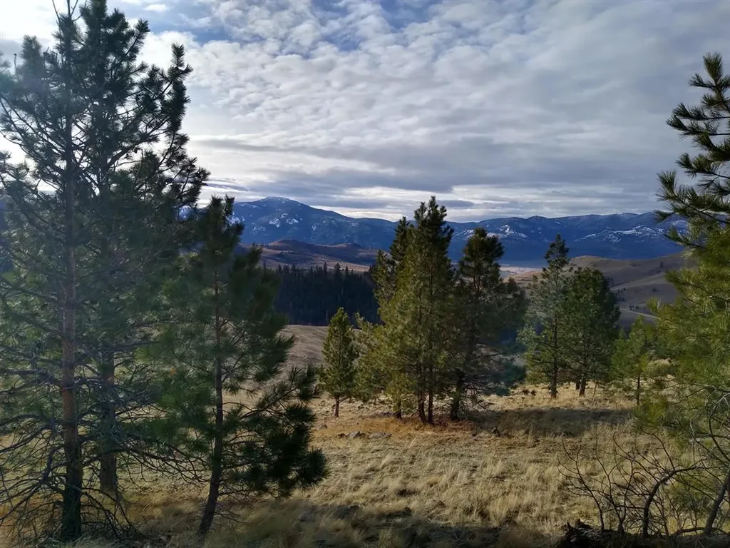 Lot 5 Diamond S Ranch Plains MT 59859