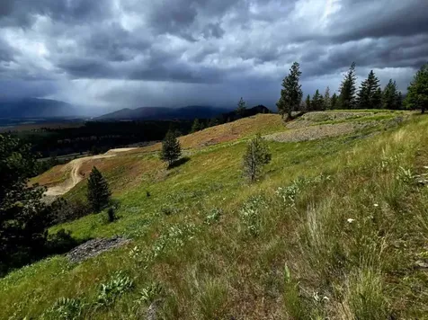 Lot 5 Diamond S Ranch Plains MT 59859