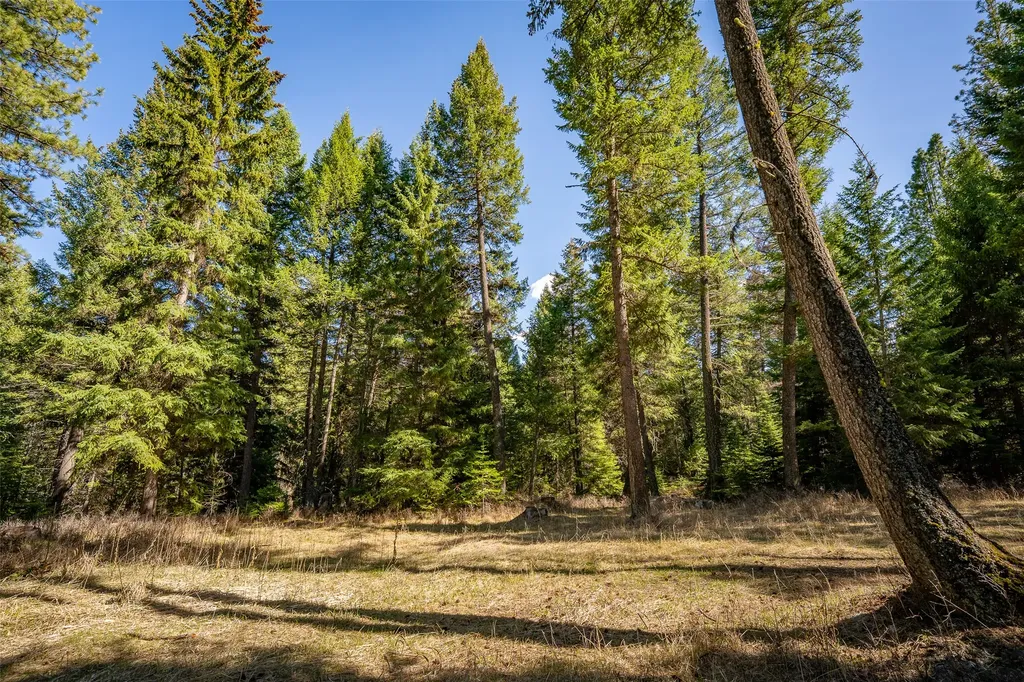 1760 Browns Meadow Road Kila MT 59920