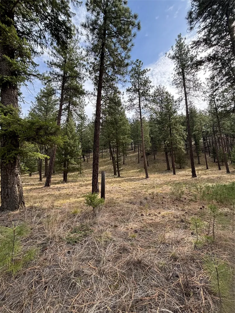 625 Wilderness Club Drive Eureka MT 59917