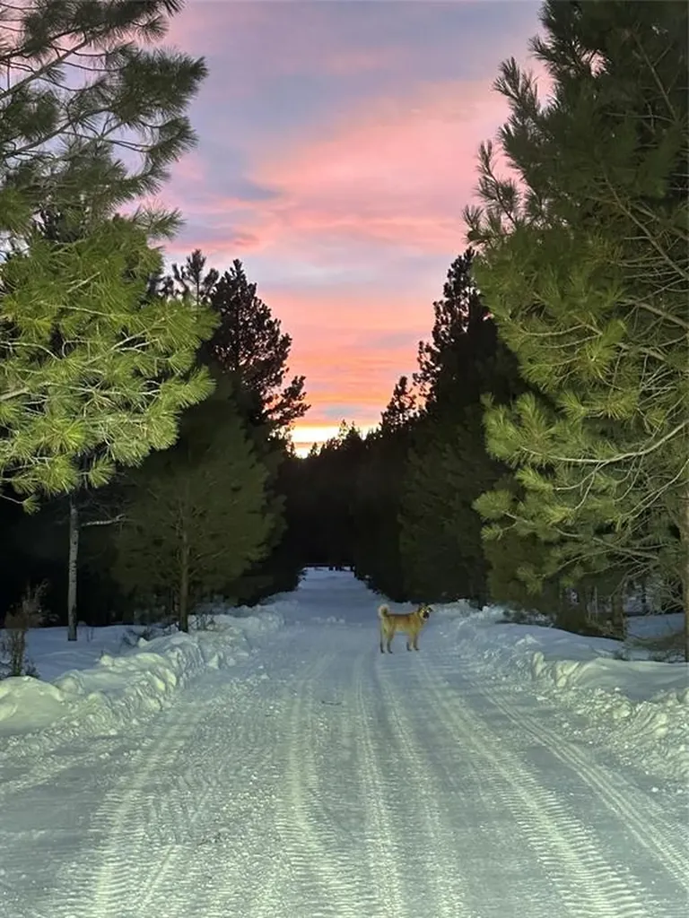 2532 Valley View Road Lincoln MT 59639