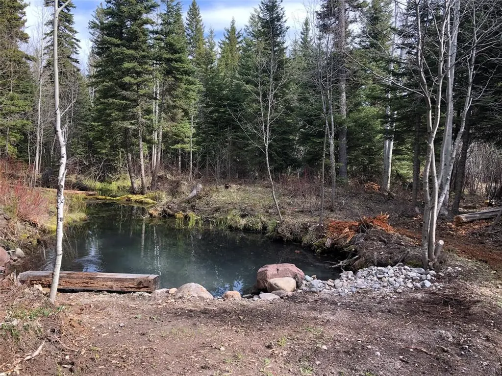 2532 Valley View Road Lincoln MT 59639