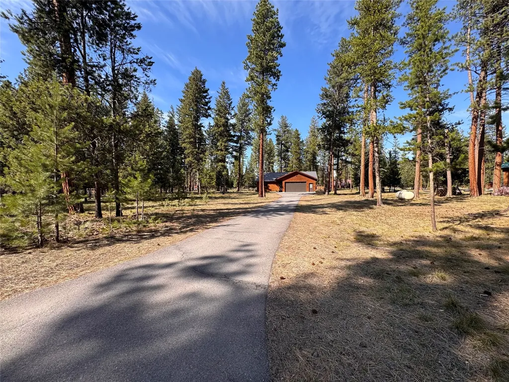 144 Lynx Court Seeley Lake MT 59868
