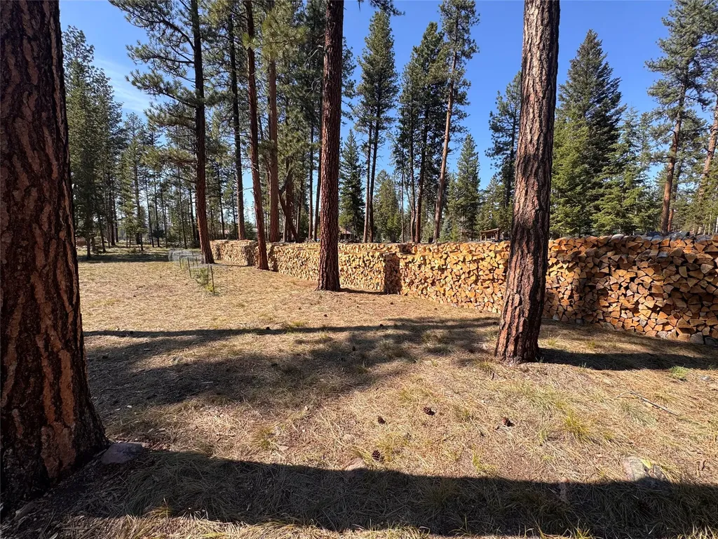 144 Lynx Court Seeley Lake MT 59868