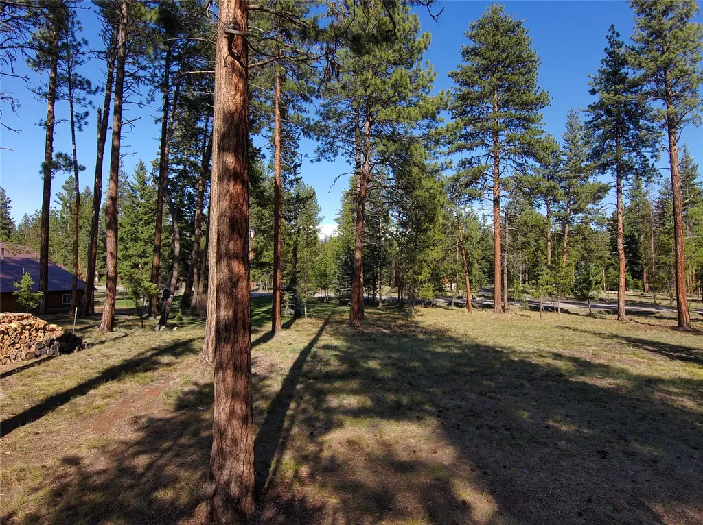 144 Lynx Court Seeley Lake MT 59868
