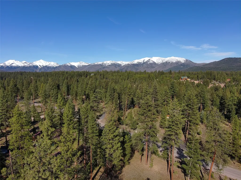 144 Lynx Court Seeley Lake MT 59868