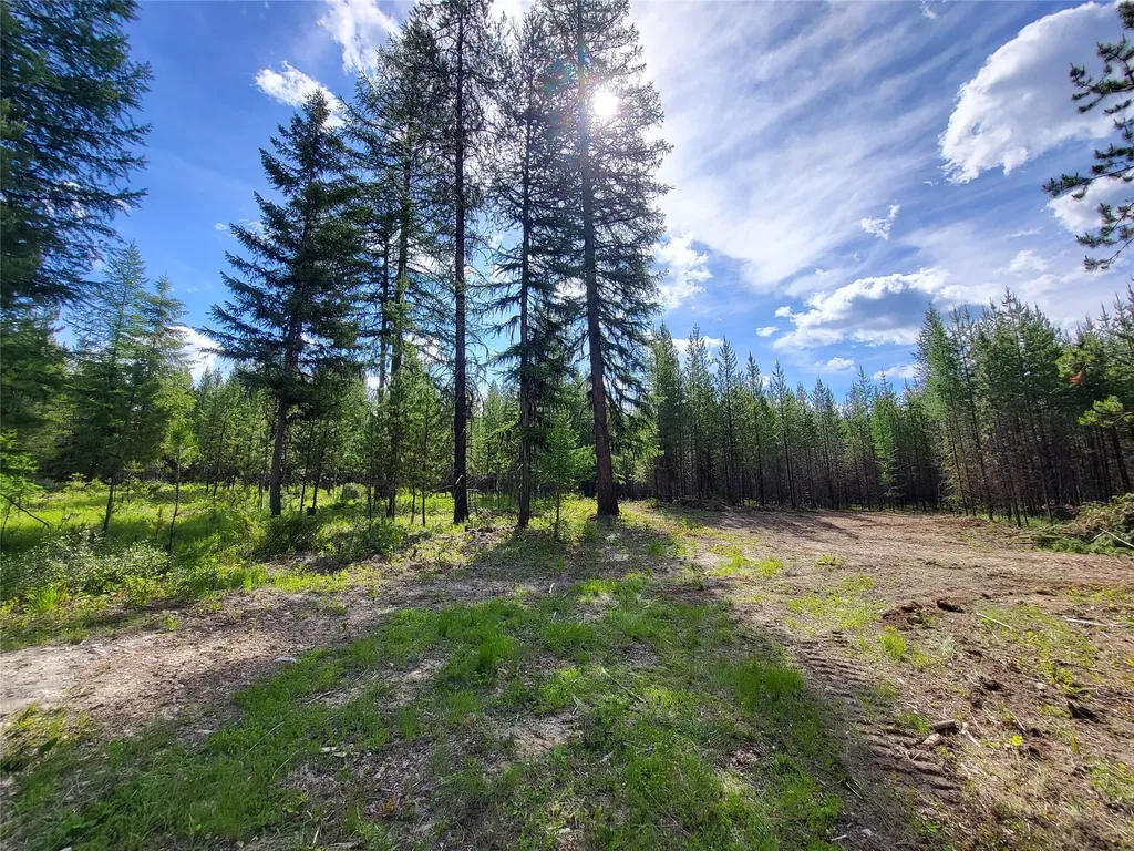 34388 Shay Lake Road Bigfork MT 59911