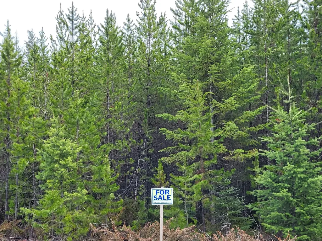 34388 Shay Lake Road Bigfork MT 59911