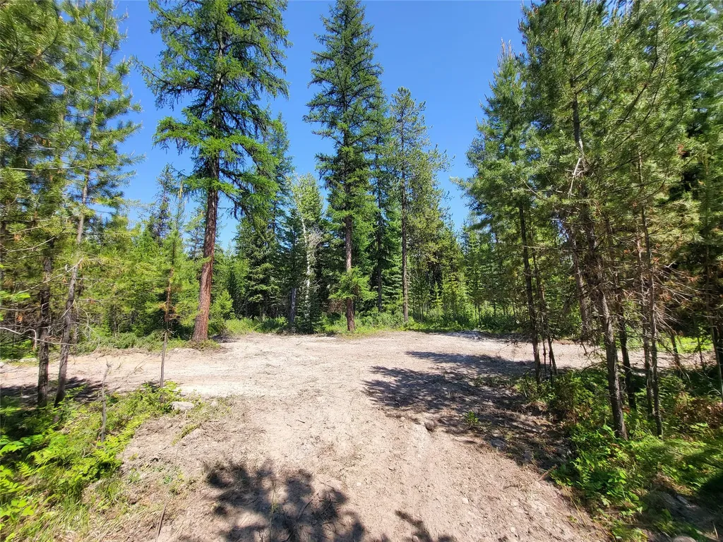 34388 Shay Lake Road Bigfork MT 59911