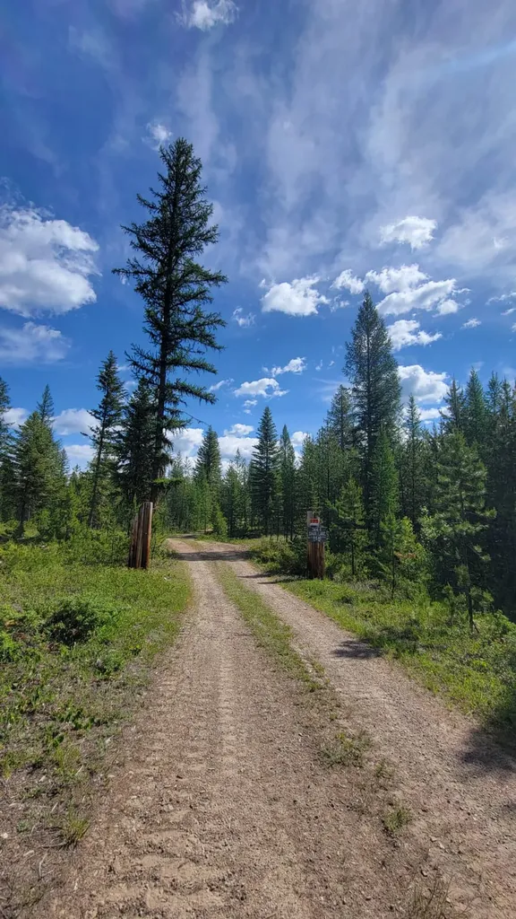 34388 Shay Lake Road Bigfork MT 59911