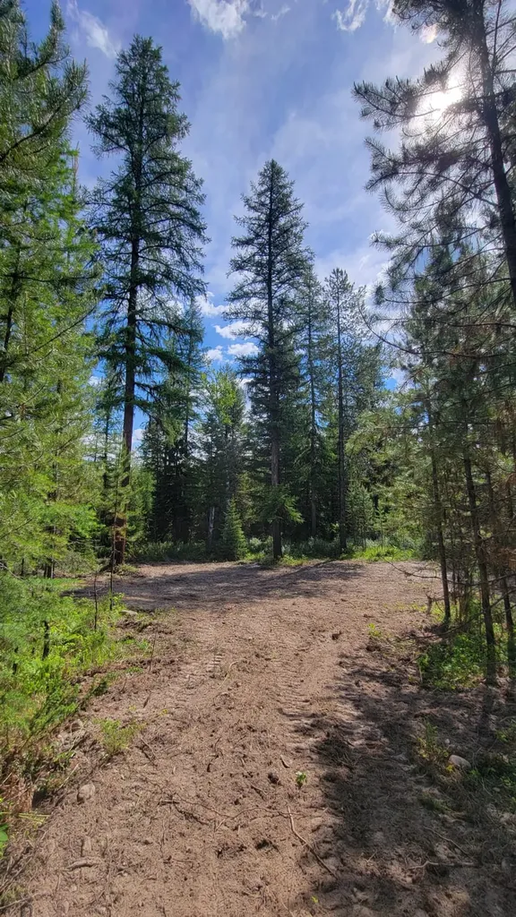 34388 Shay Lake Road Bigfork MT 59911