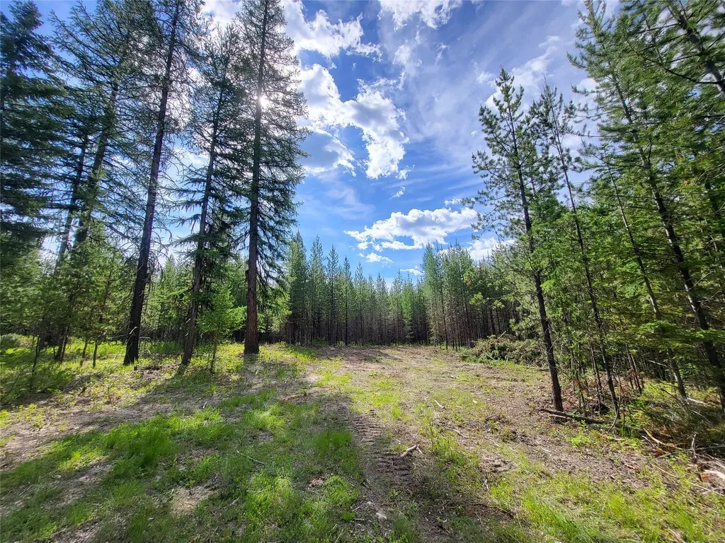 34388 Shay Lake Road Bigfork MT 59911